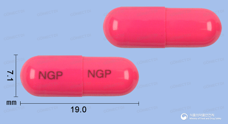 뉴젠팜세파드록실캡슐 250mg