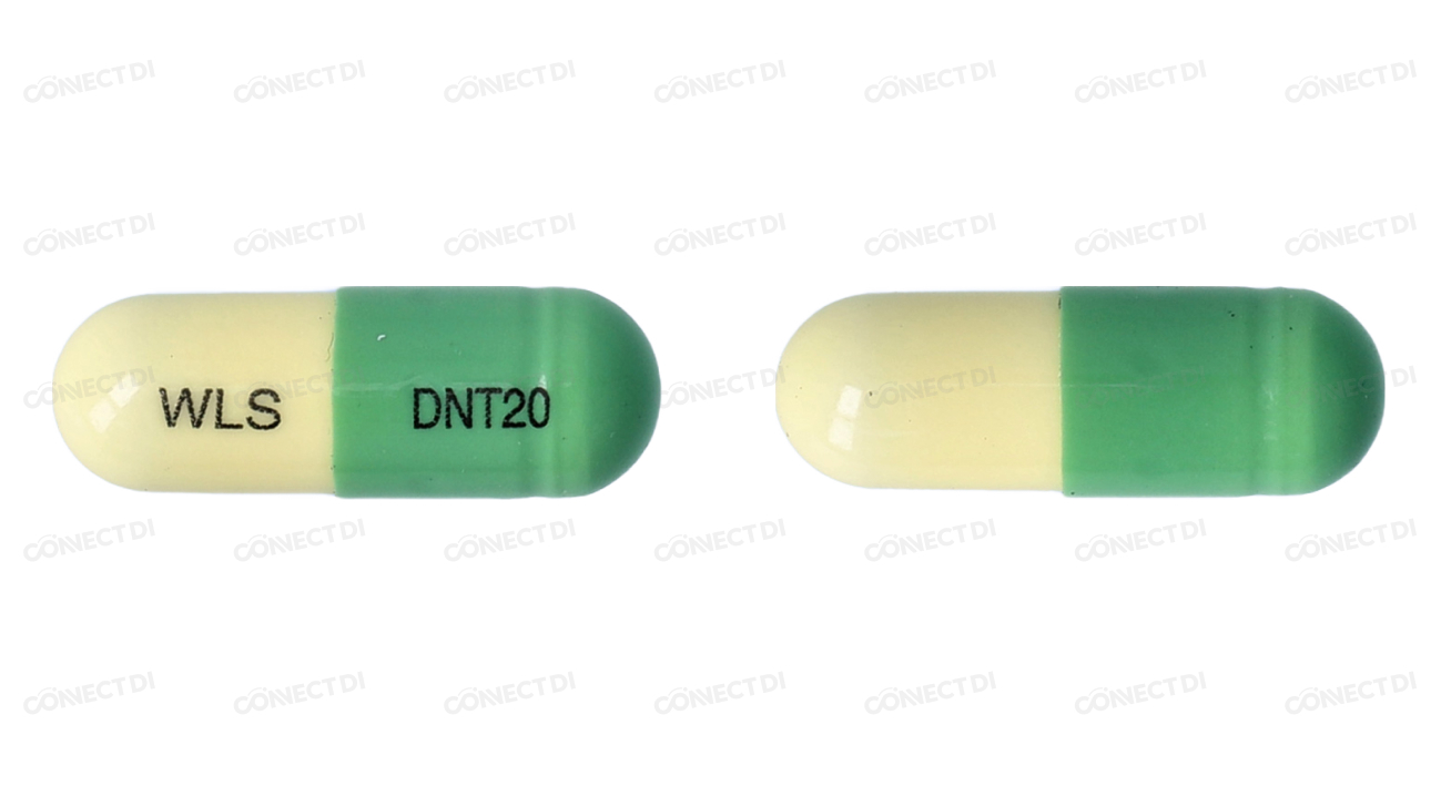 다나텍캡슐 20mg