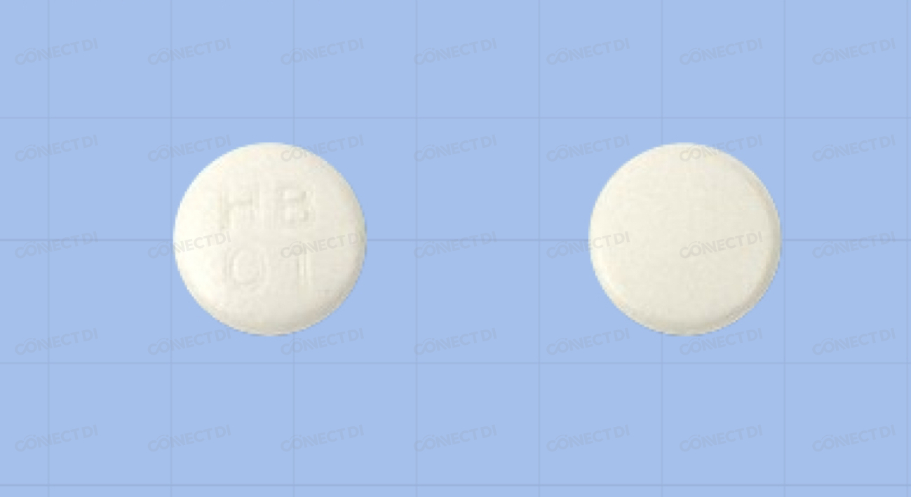 레보록스정 100mg