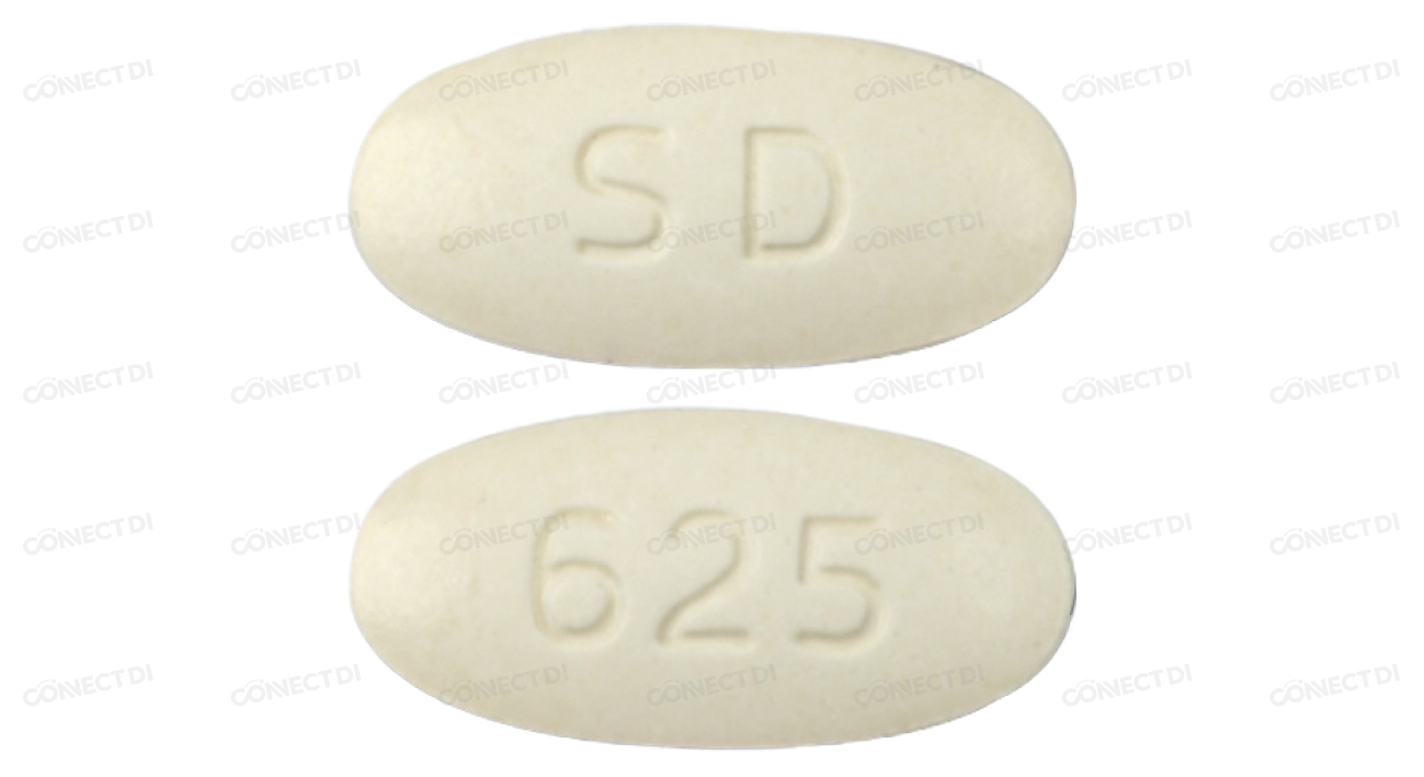 라모크린정 625mg