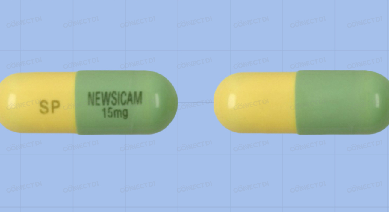 뉴시캄캡슐 15mg