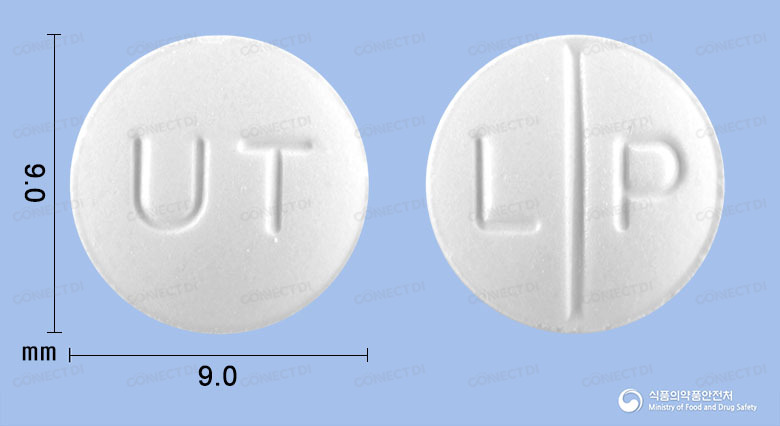레보나진정 60mg