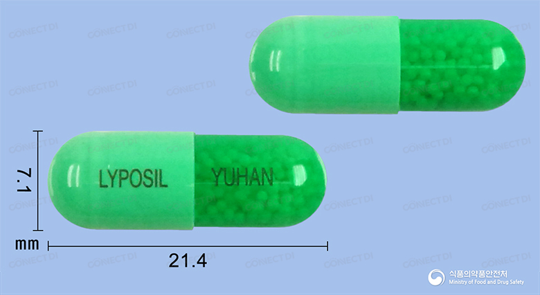 라이포실캡슐 100mg