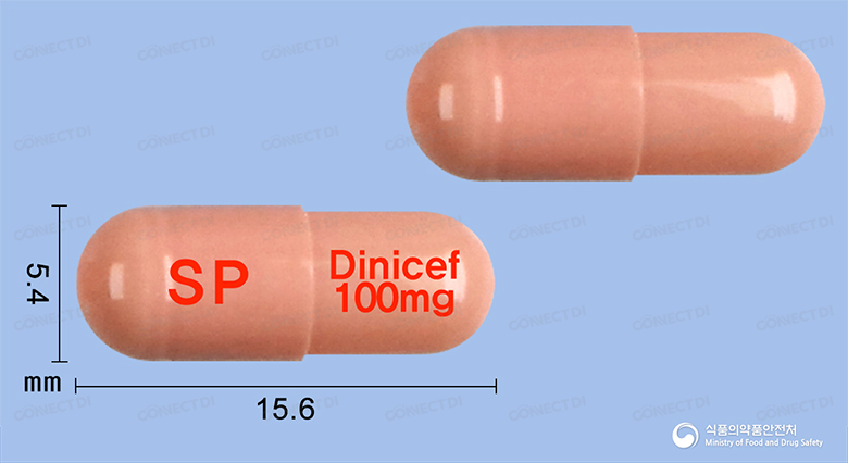 디니세프캡슐 100mg