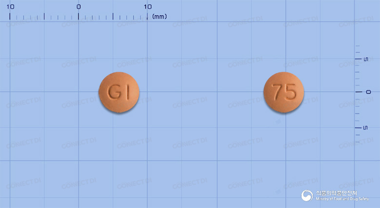 지아이지정 75mg