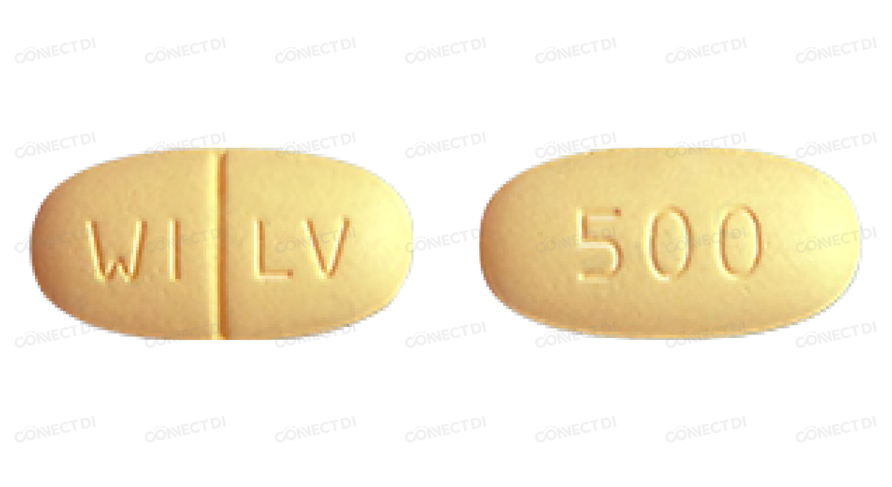 케프렙톨정 500mg