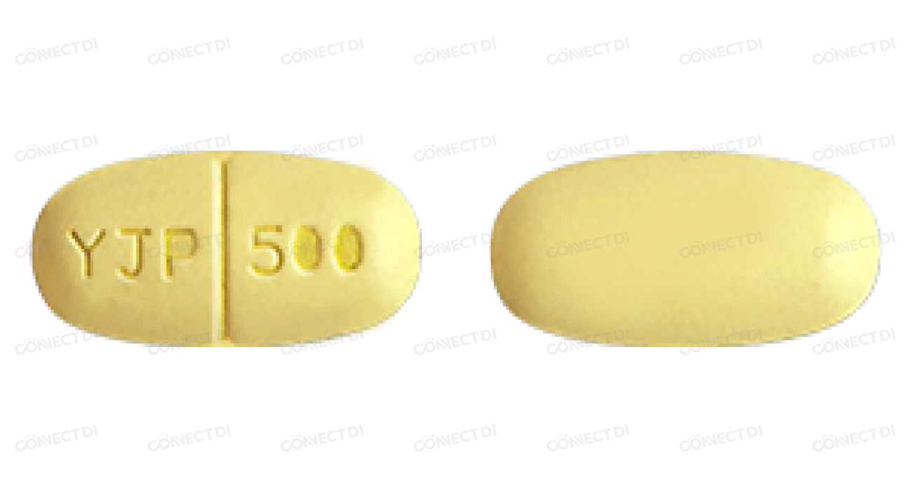 레비세탐정 500mg
