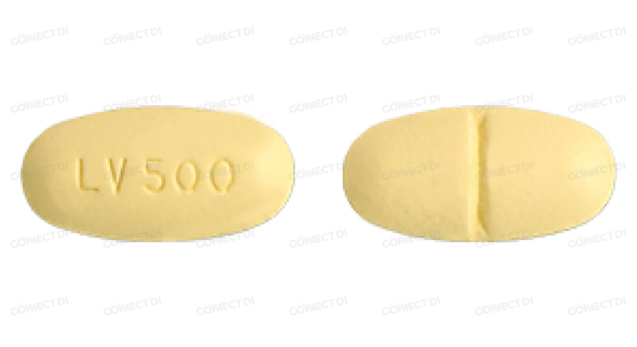 레비라정 500mg
