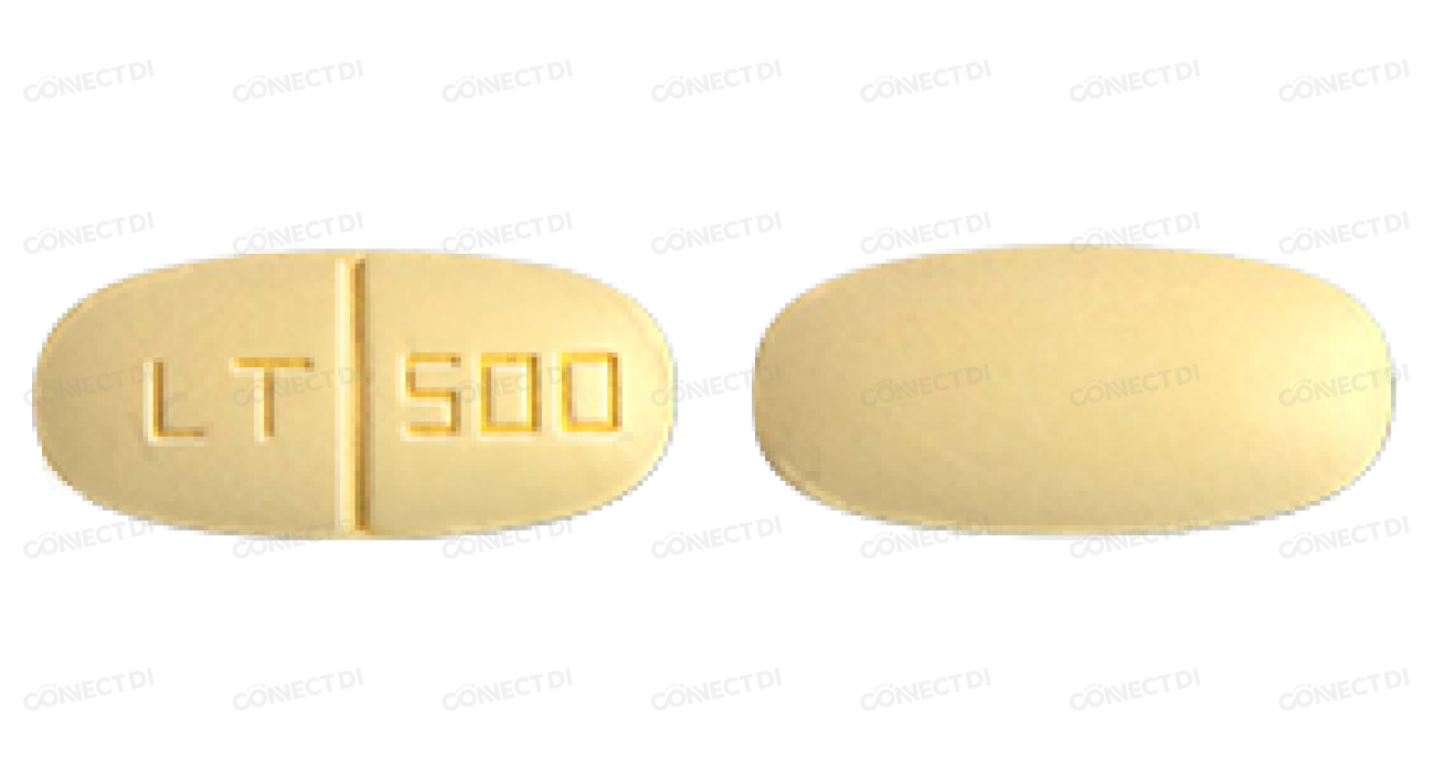 케피람정 500mg