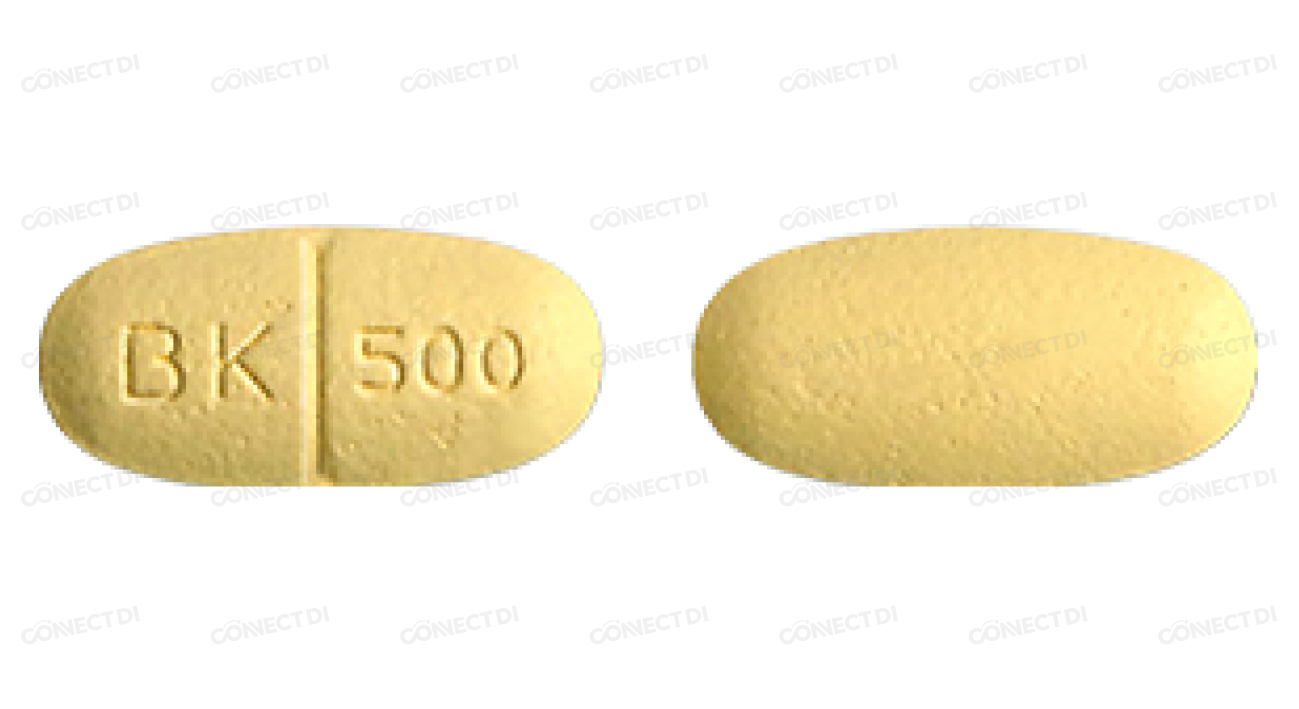 레비큐어정 500mg