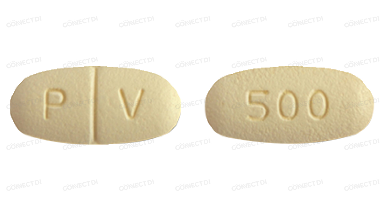 레비티라세브이정 500mg