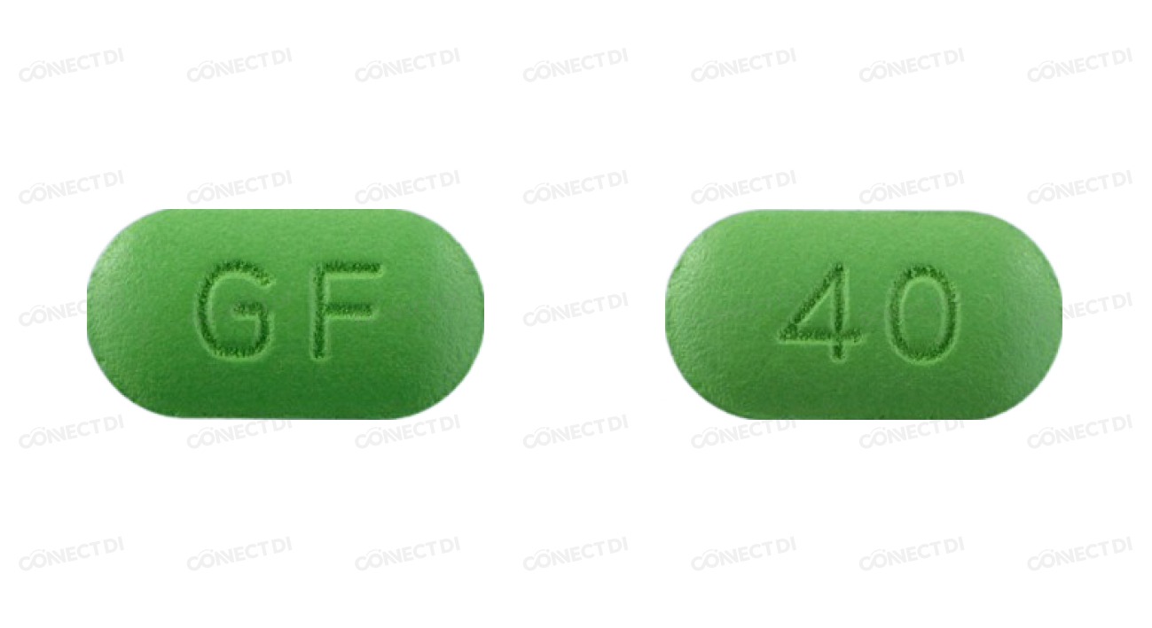 징코에프정 40mg