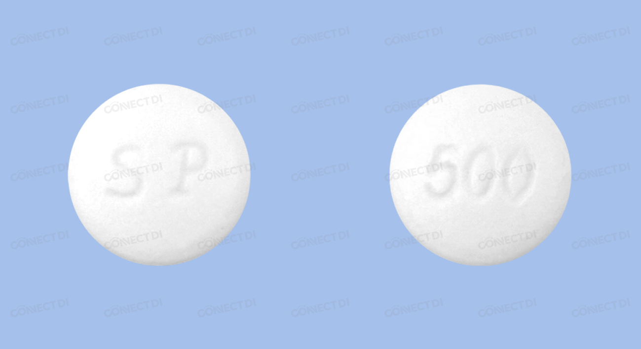 다이비스정 500mg