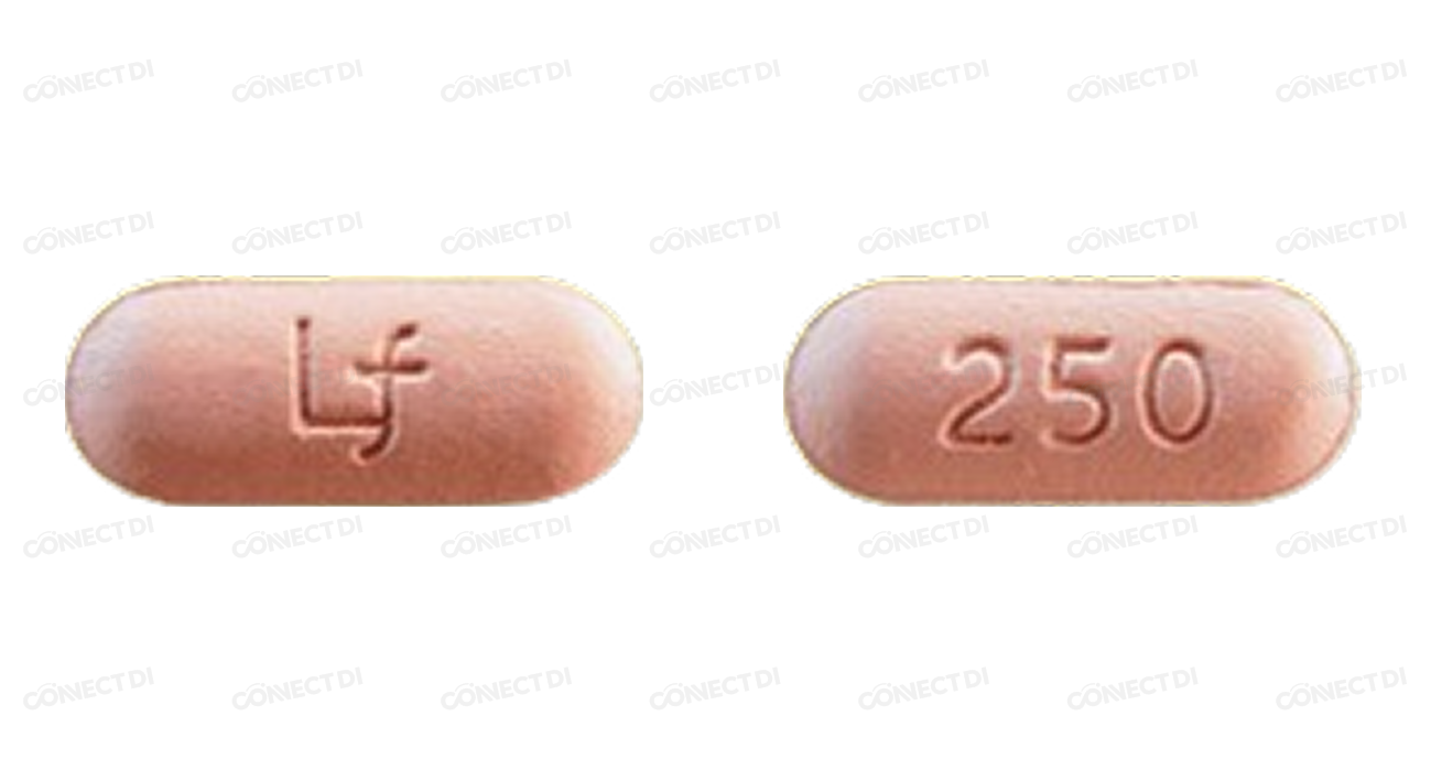 레프록신정 250mg
