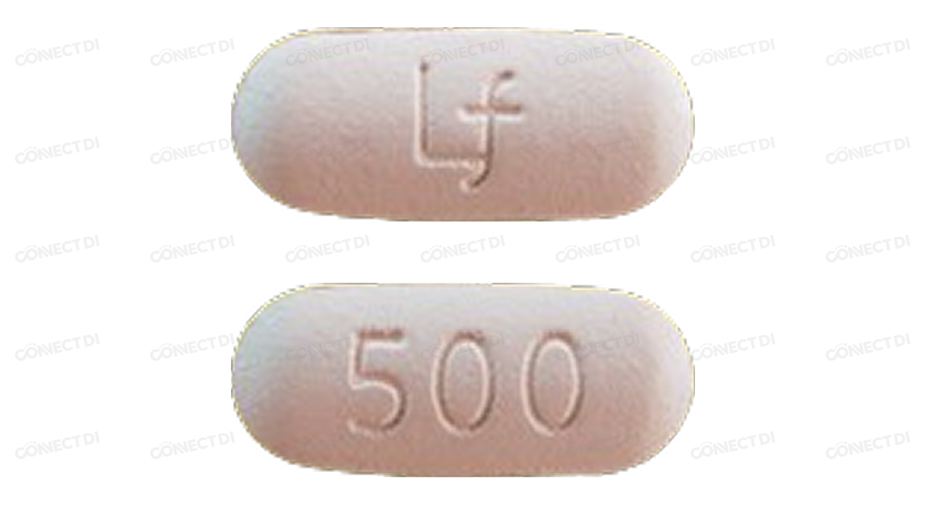 레프록신정 500mg