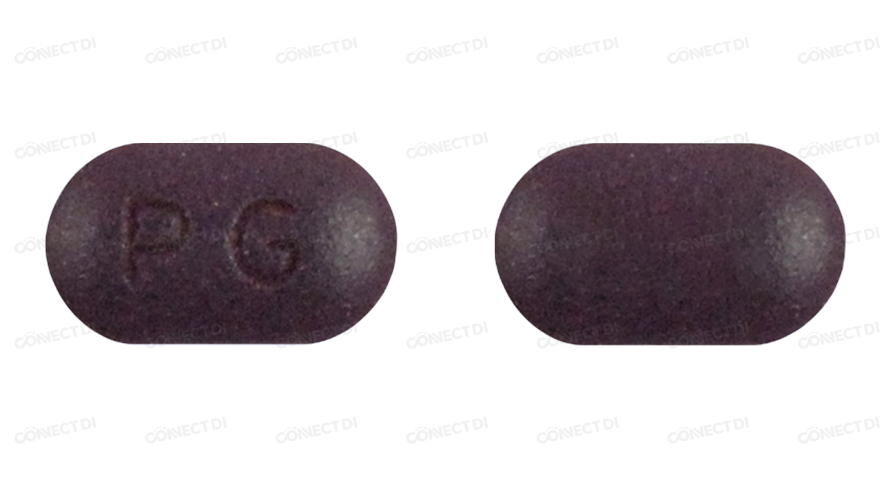 맥센정 (수출용)