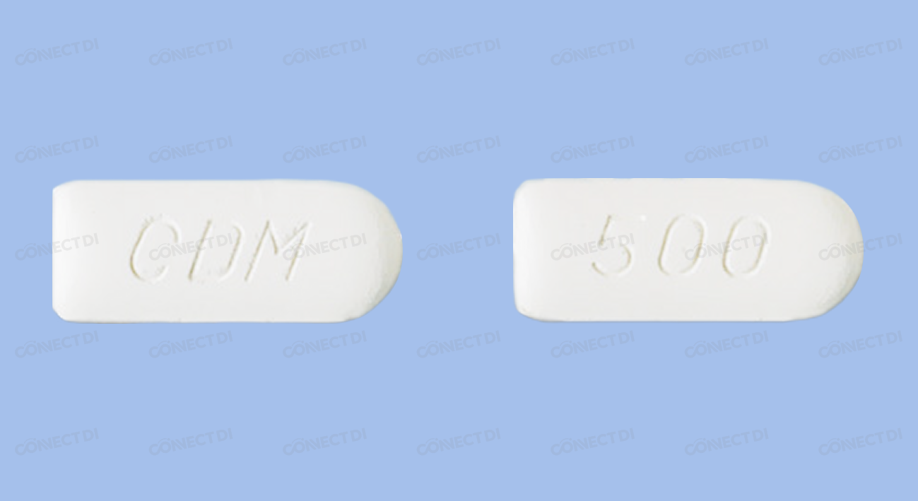 칸디덤질정 500mg