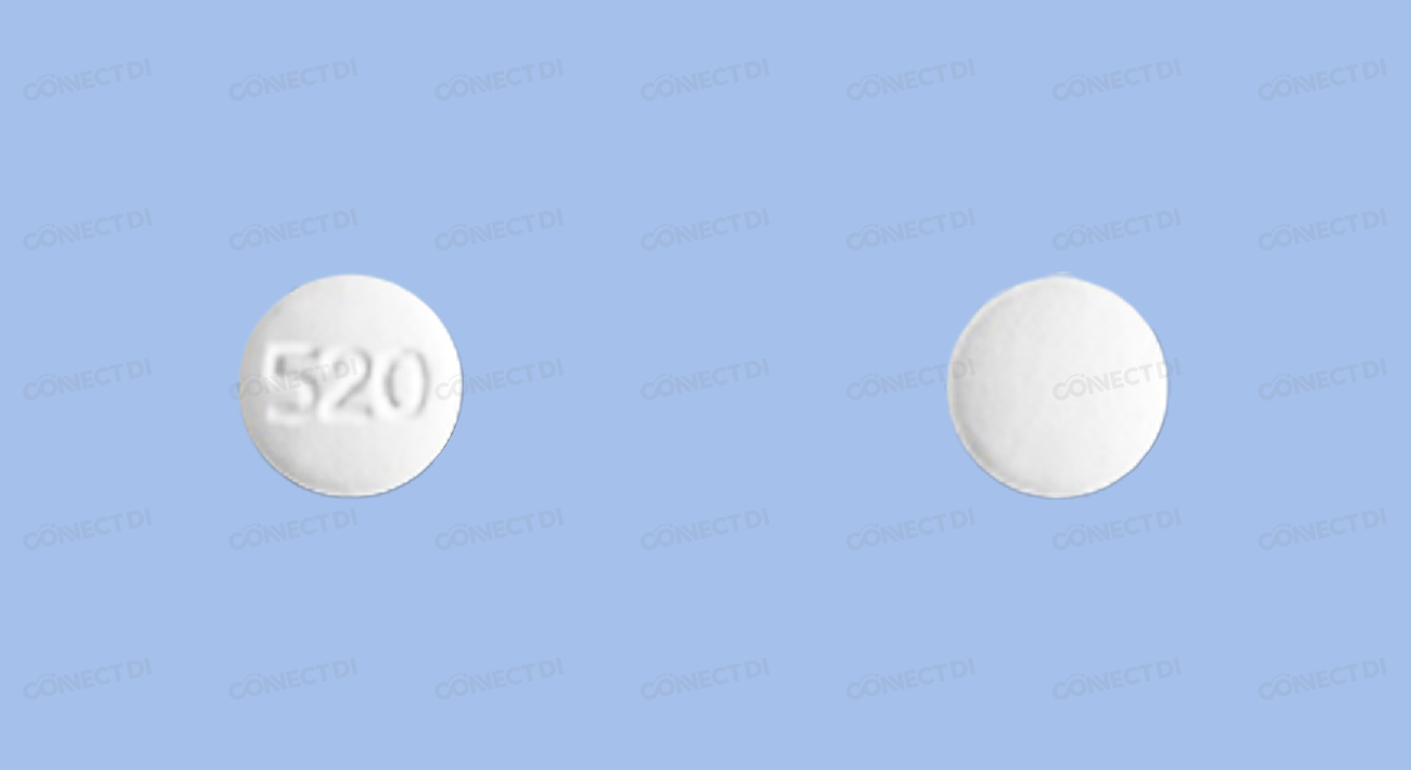 올로비카정 5/20mg