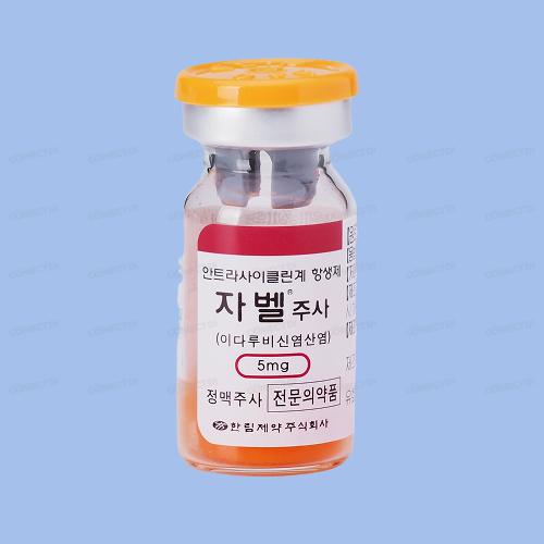 자벨주사 5mg