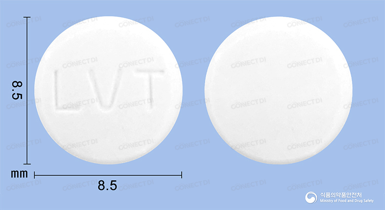레보카민정 60mg