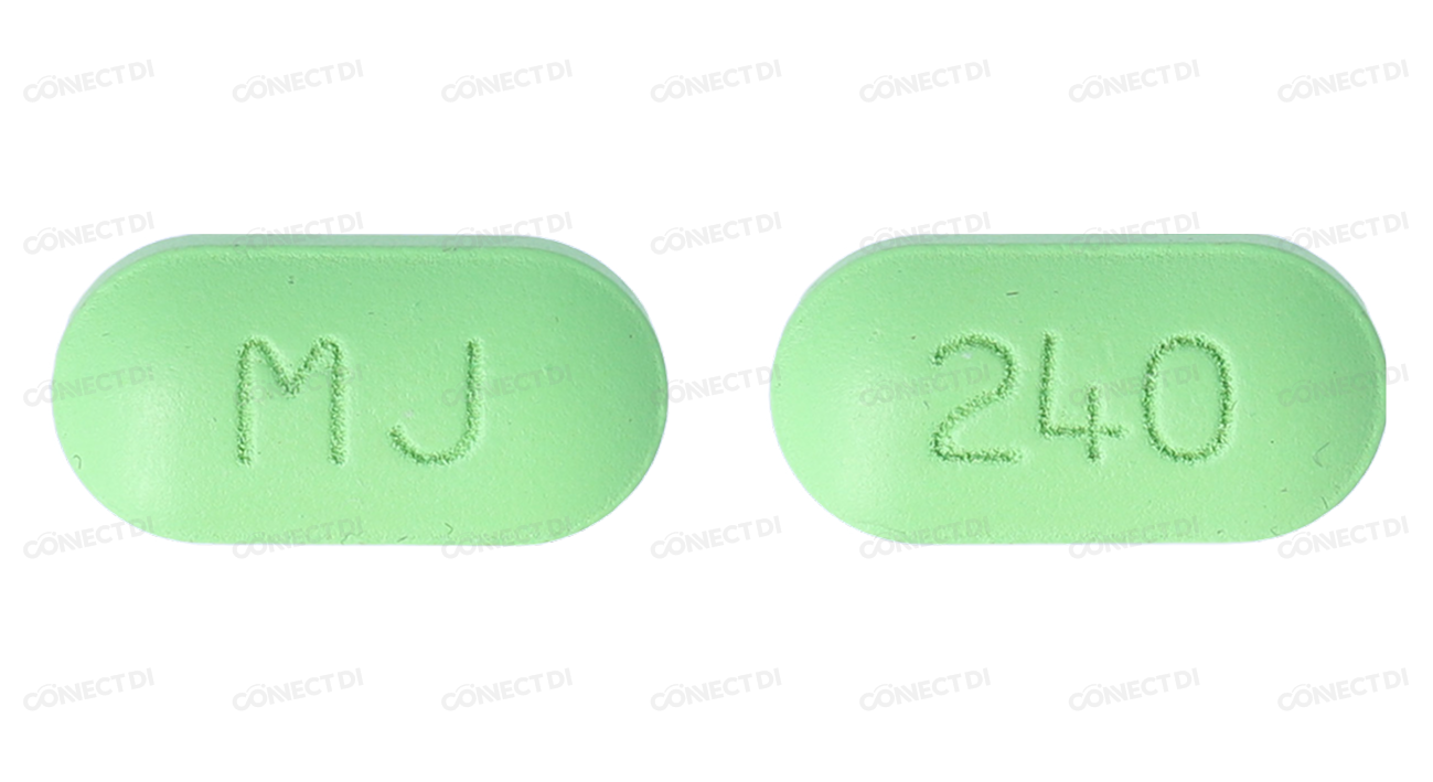 깅코라민정 240mg