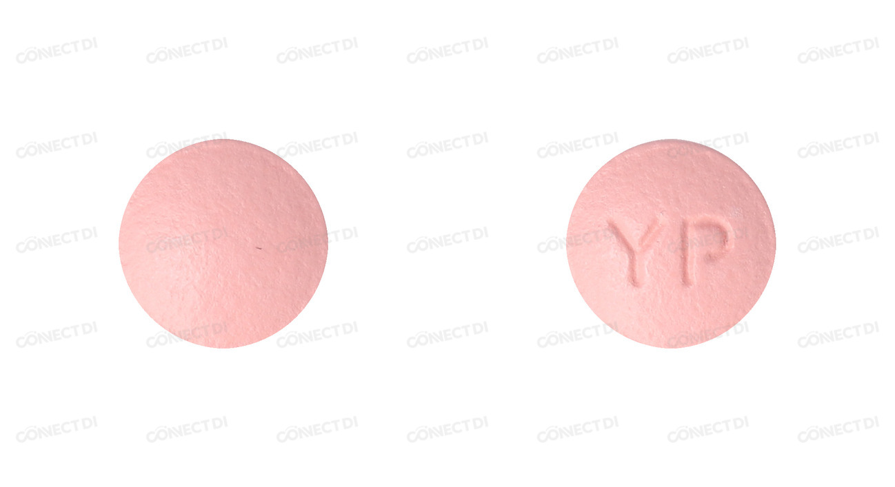 브로다제장용정 100mg