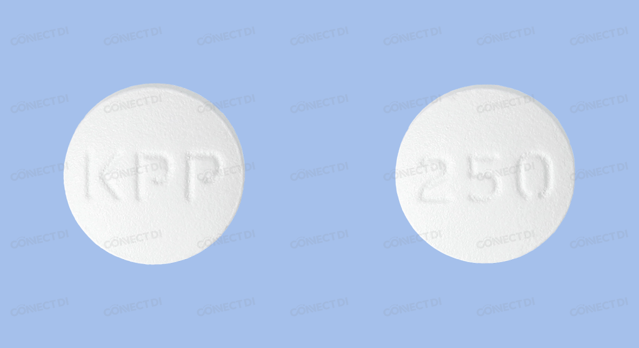 록신정 250mg