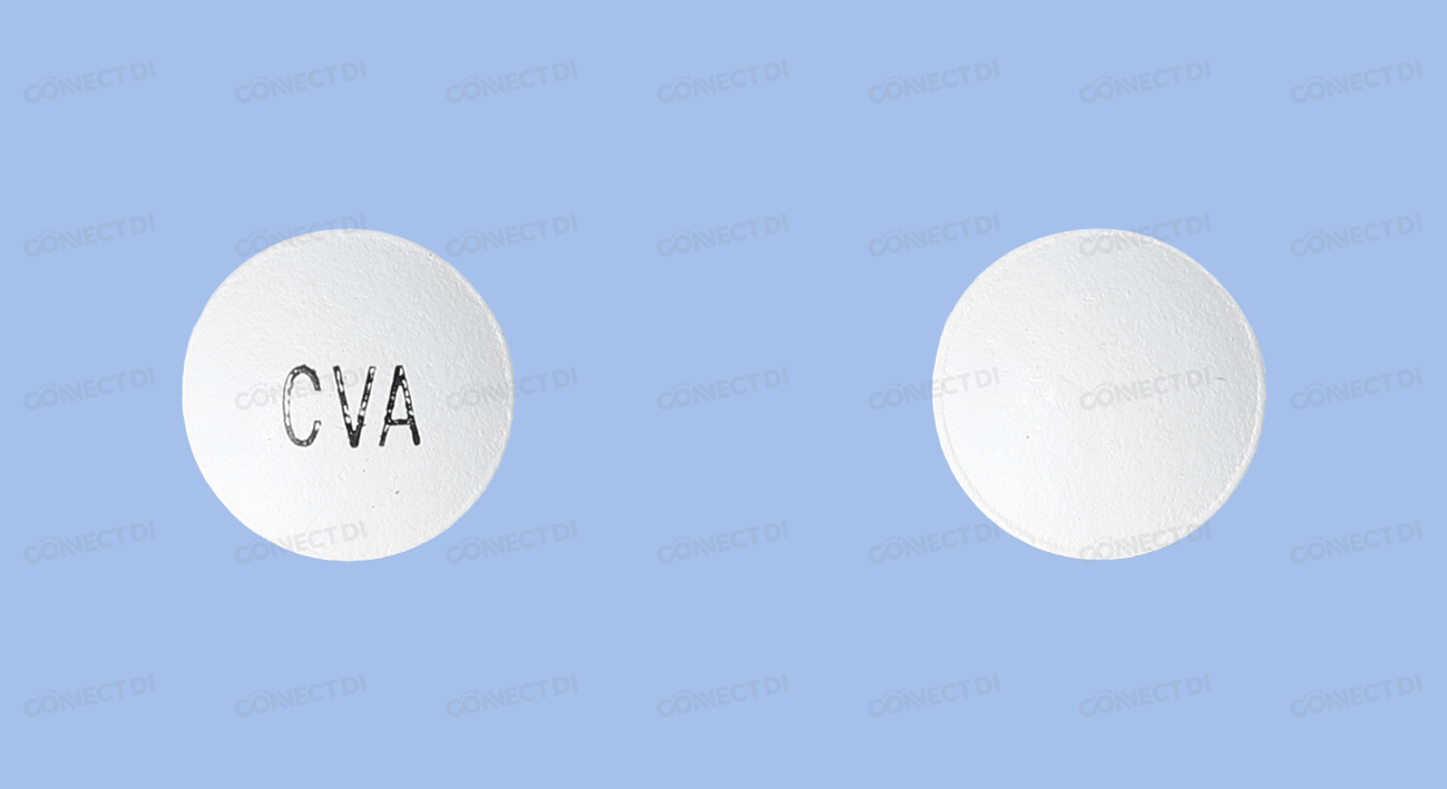 비스타치플러스정 100mg