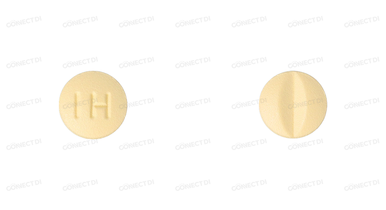 레니디핀정 10mg