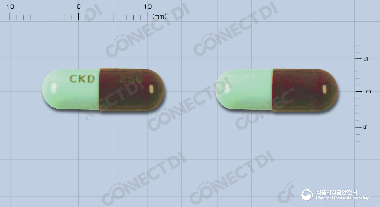 테라싸이클린캡슐 250mg