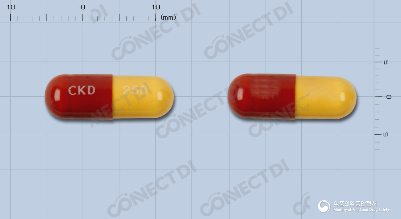 아목사펜캡슐 250mg