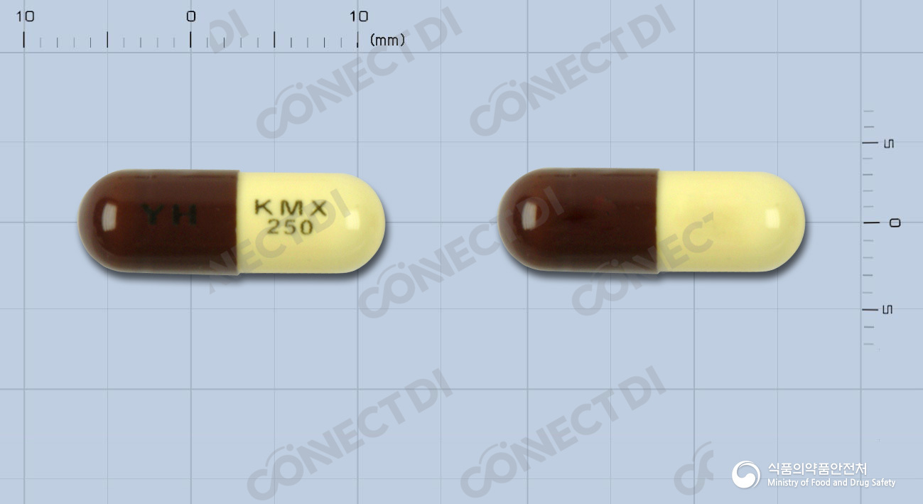 키목신캡슐 250mg