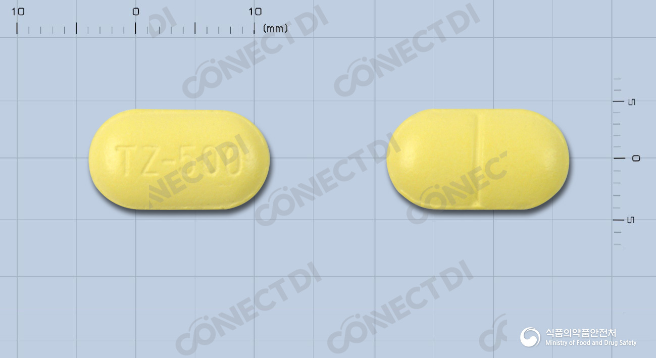 티니다진정 500mg