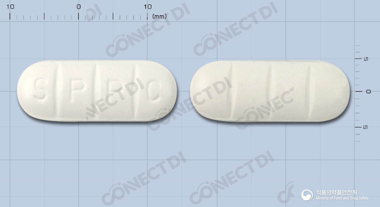 디스토시드정 600mg