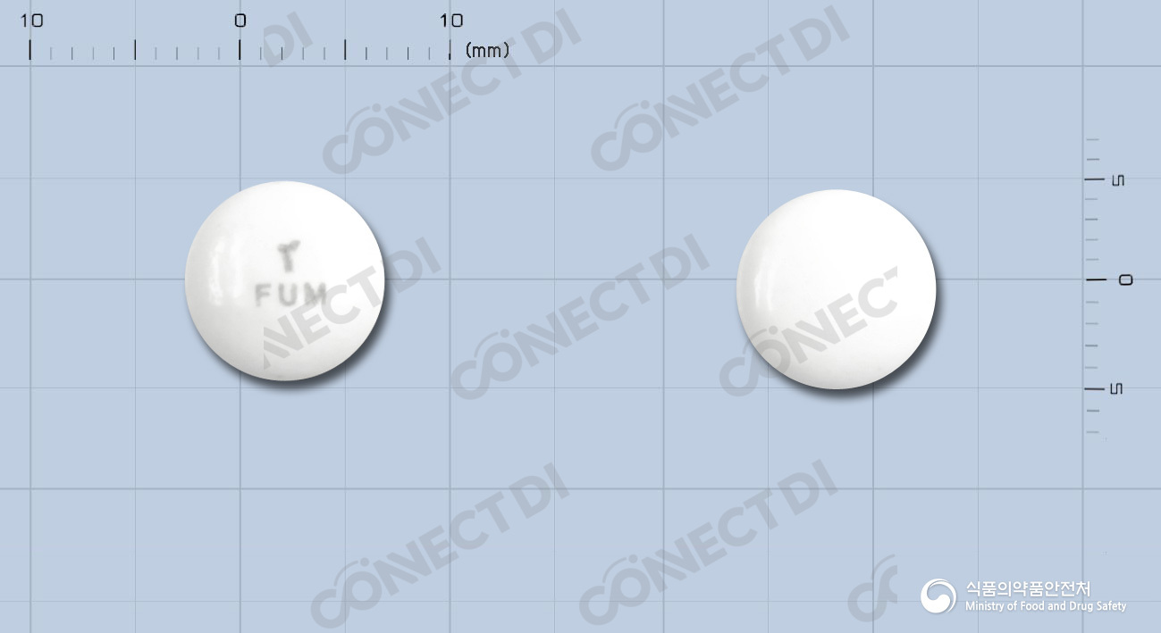 후메칠정 (수출용)