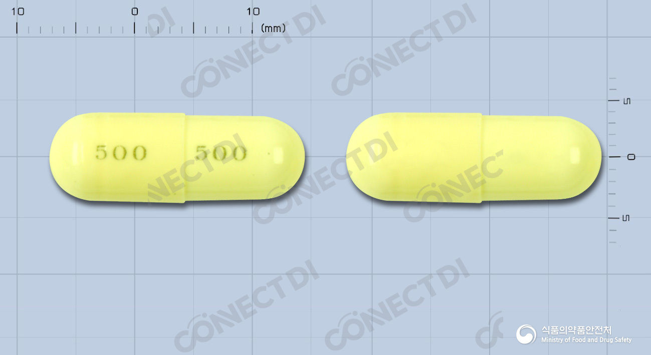카멕스캡슐 500mg