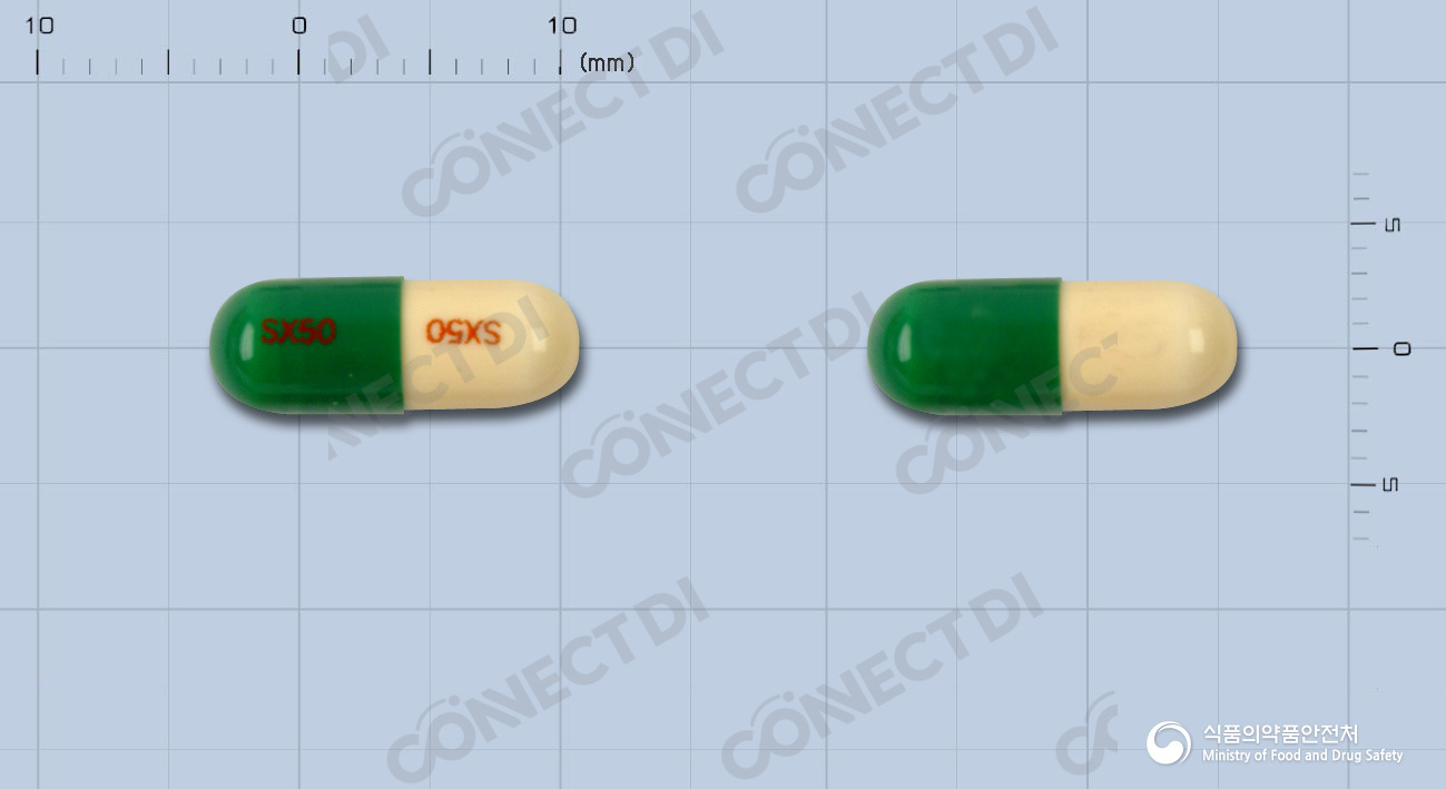 셀벡스캡슐 50mg