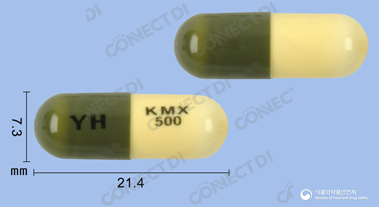 키목신캡슐 500mg