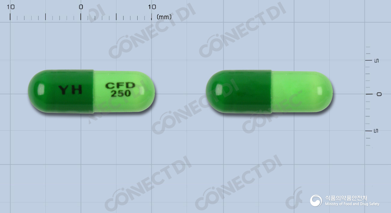 유한세프라딘캡슐 250mg