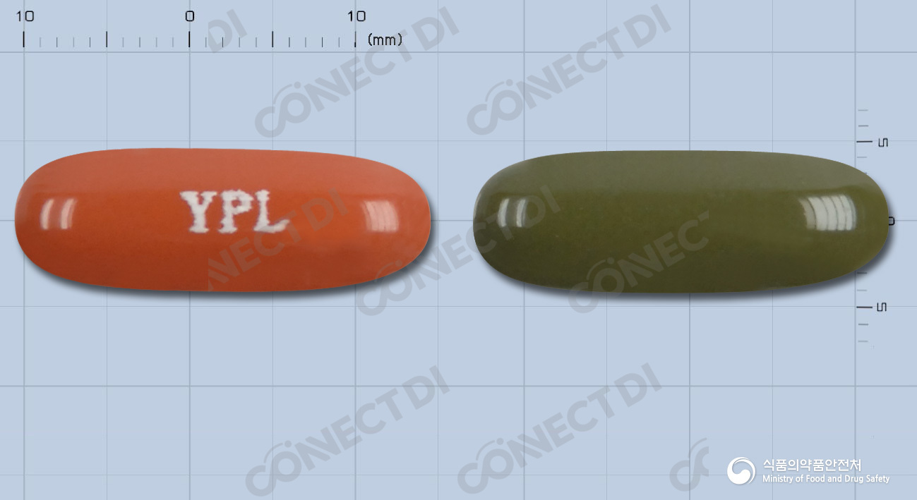 레보시톤연질캡슐 500mg