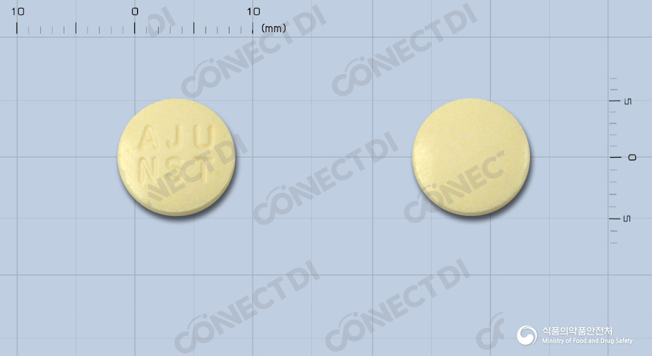니메솔정 100mg