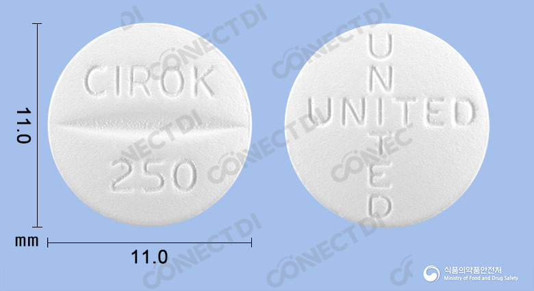 씨록정 250mg