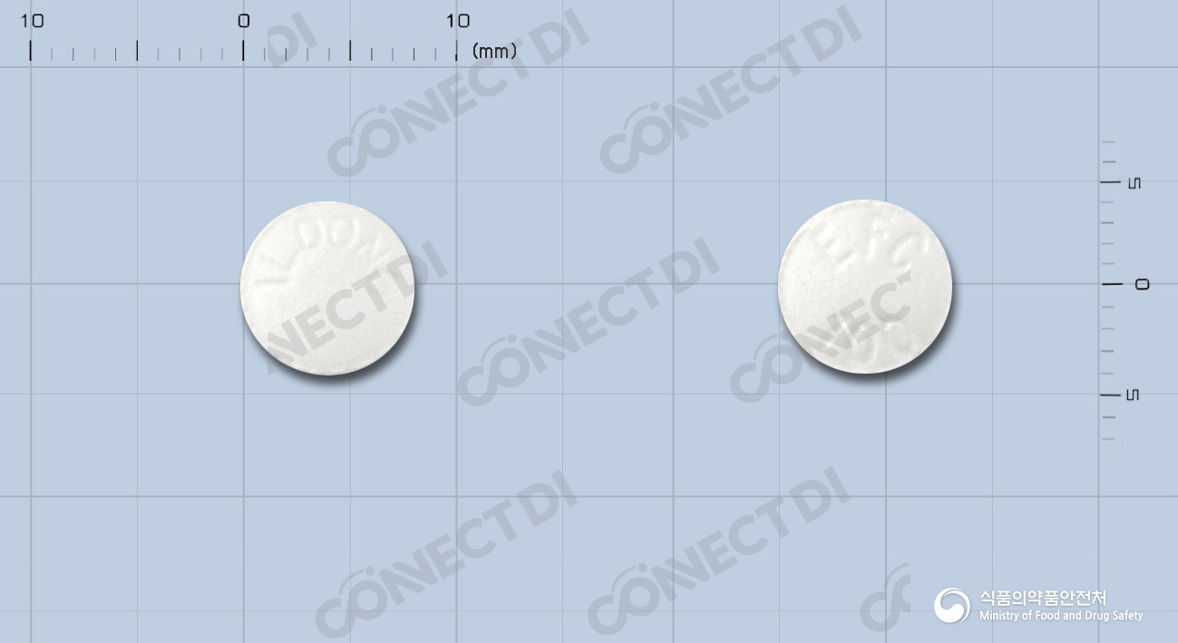 에펙신정 100mg