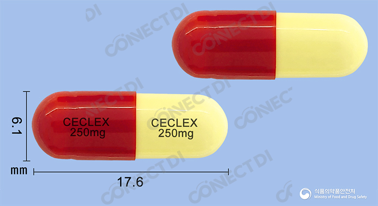 세클렉스캡슐 250mg