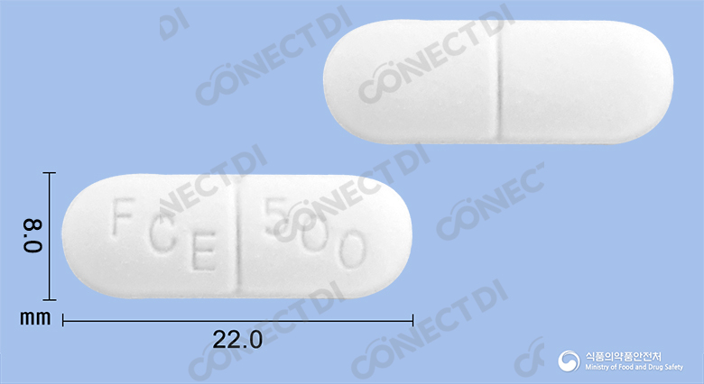 파루탈정 500mg