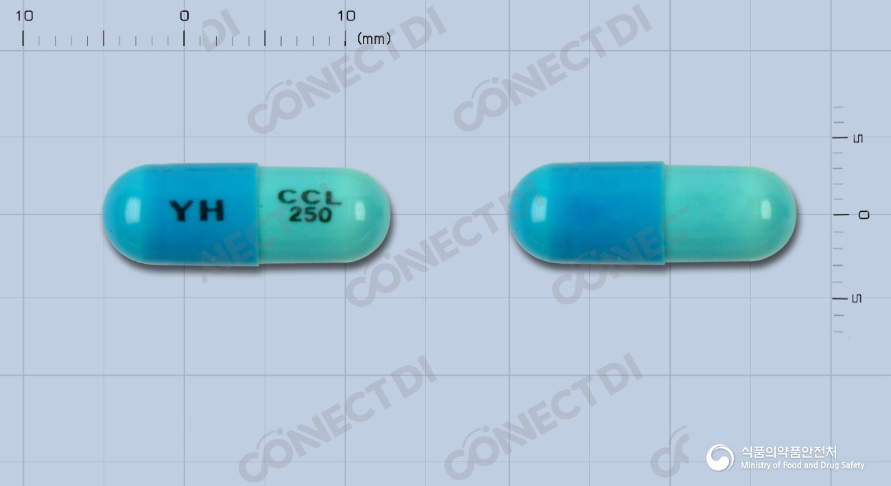 유한세파클러캡슐 250mg
