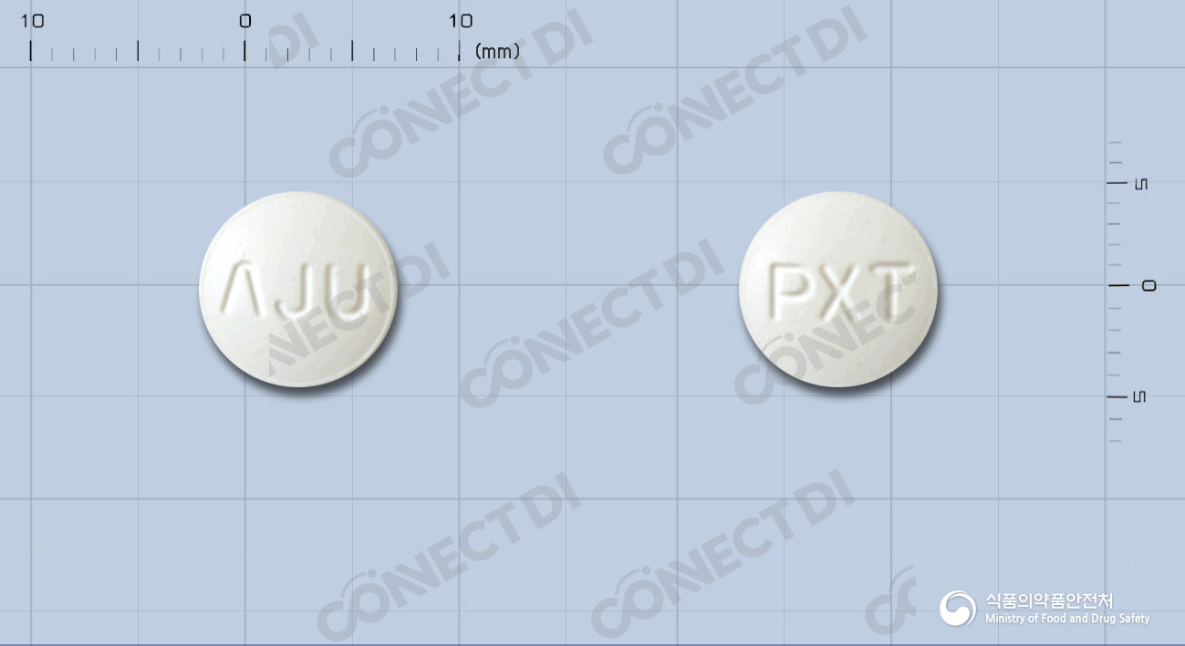 프락신정 100mg