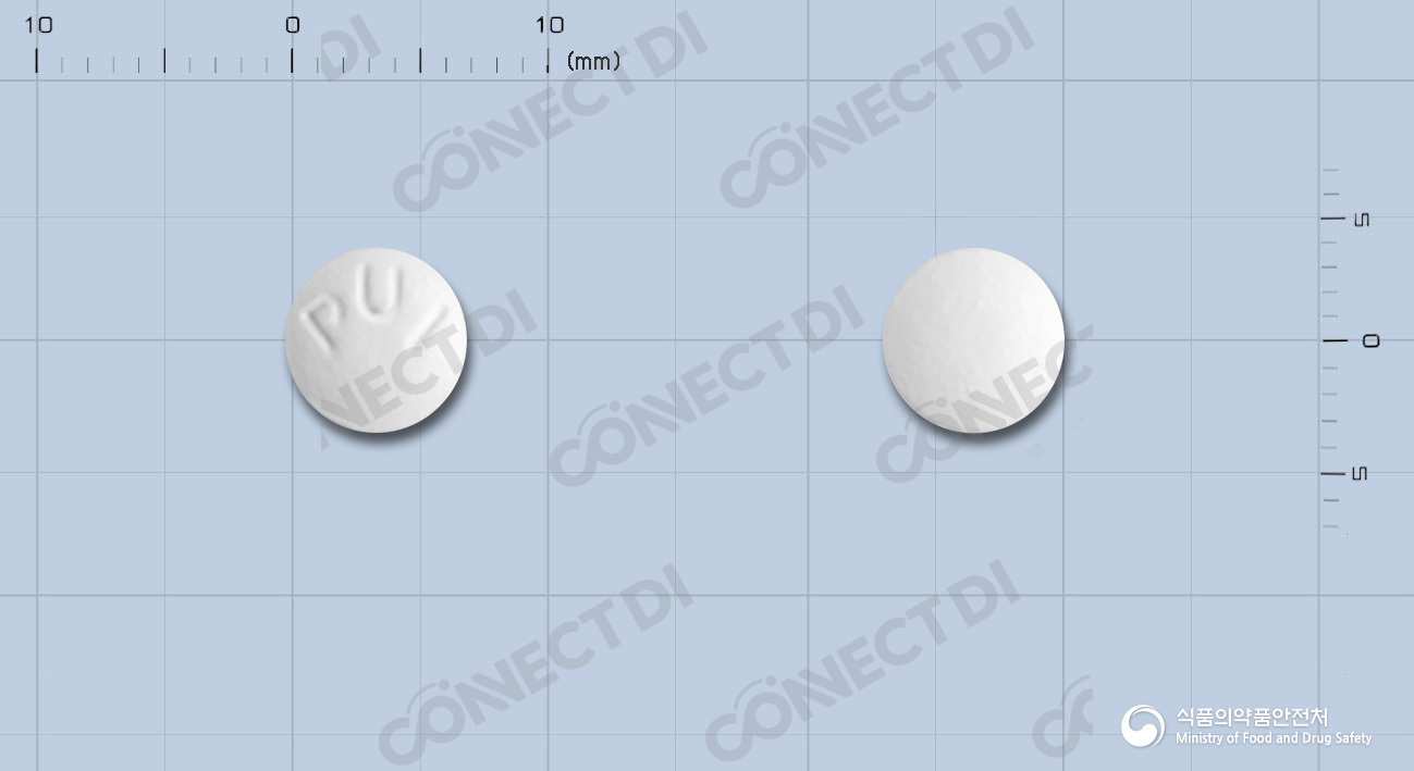듀록정 100mg