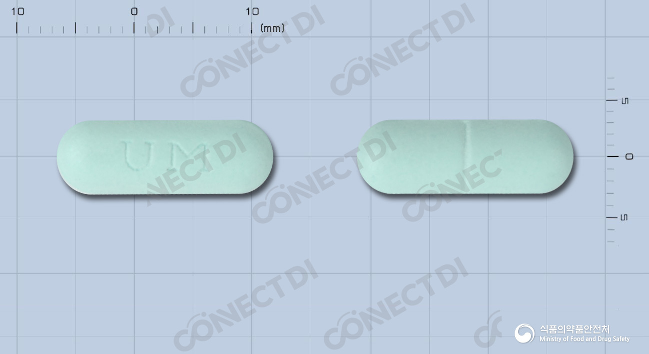 디살정 500mg