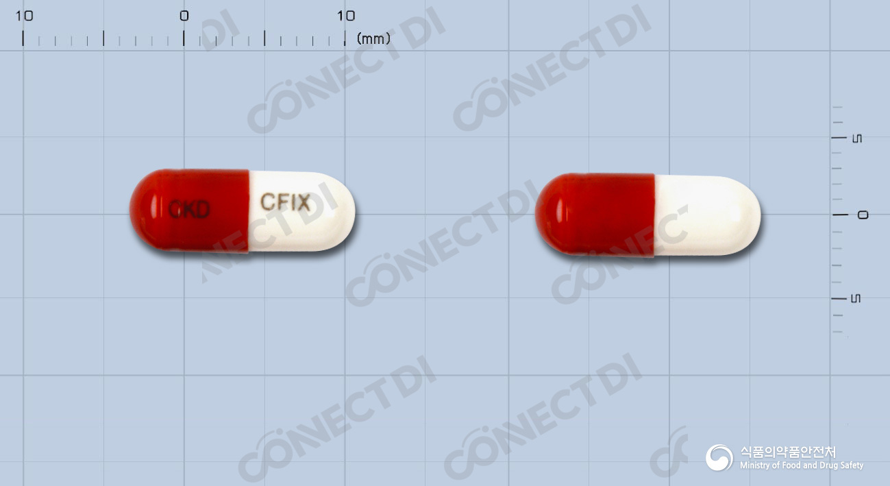 포세프캡슐 100mg